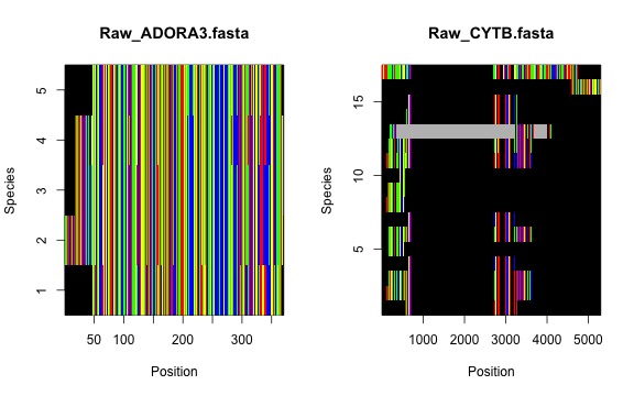 A figure showing raw alignments